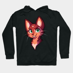 Firestar! Hoodie